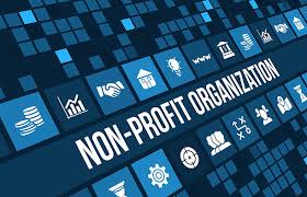 Non-Profit Organizations